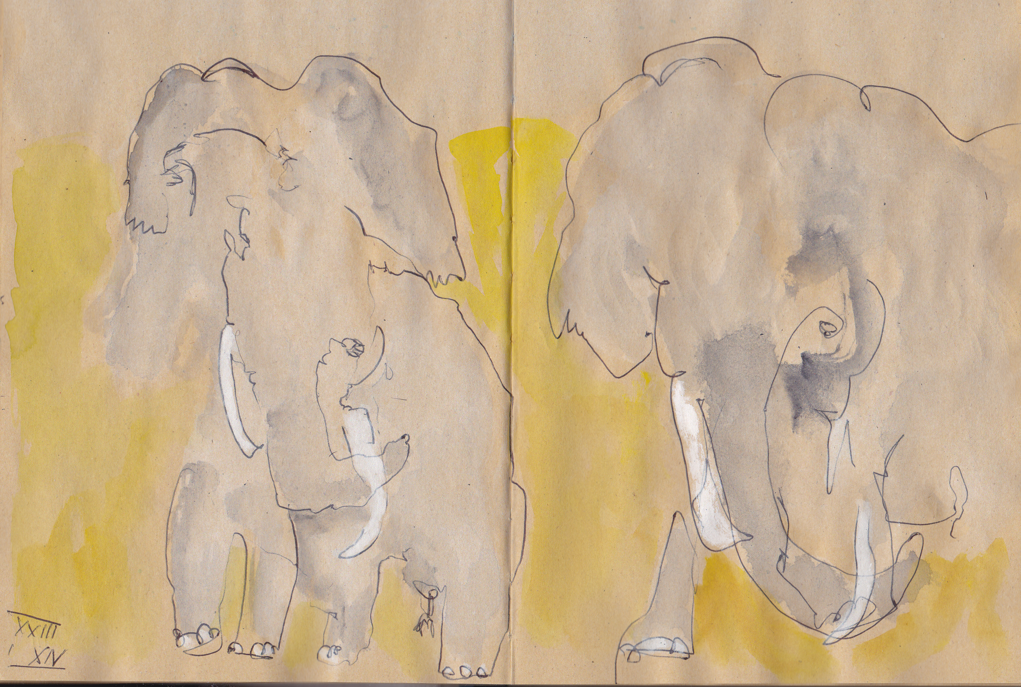 230114-Elefanten