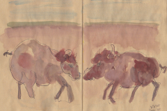 230111-Bisons