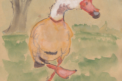 230113-Nilgans