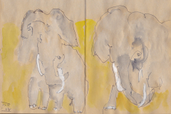 230114-Elefanten