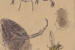 102