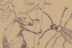 105