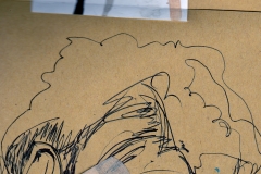 29