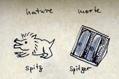 36